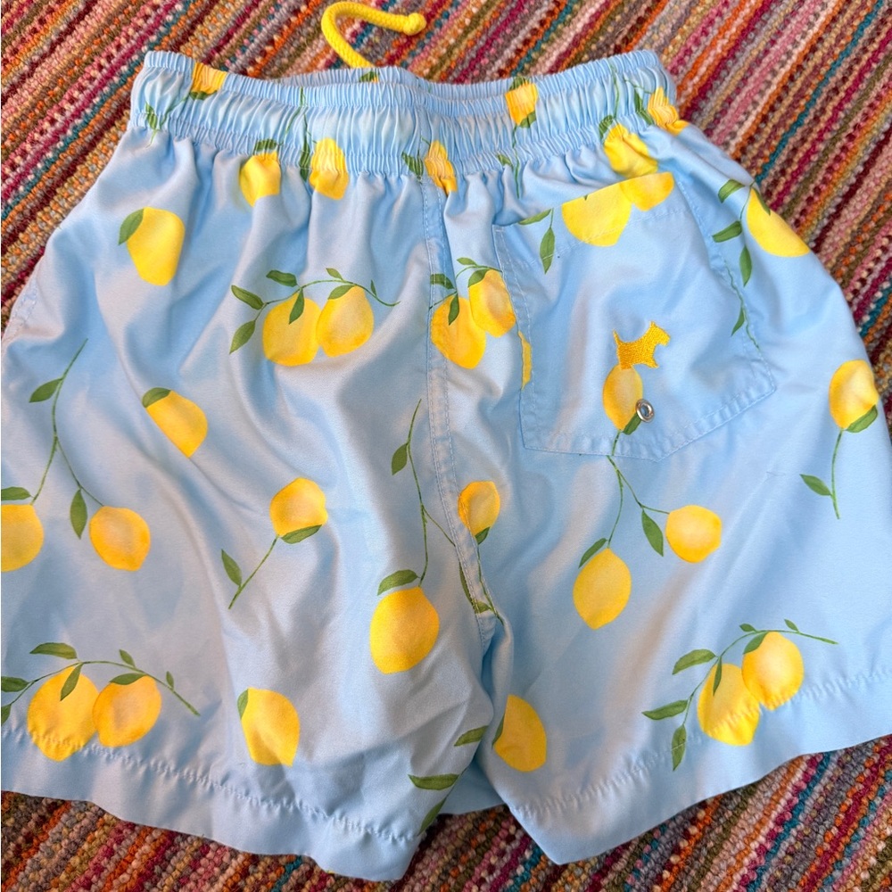 Sal & Pimenta Boys Swim Trunks - Blue with Yellow Lemons - Picture 2 of 3